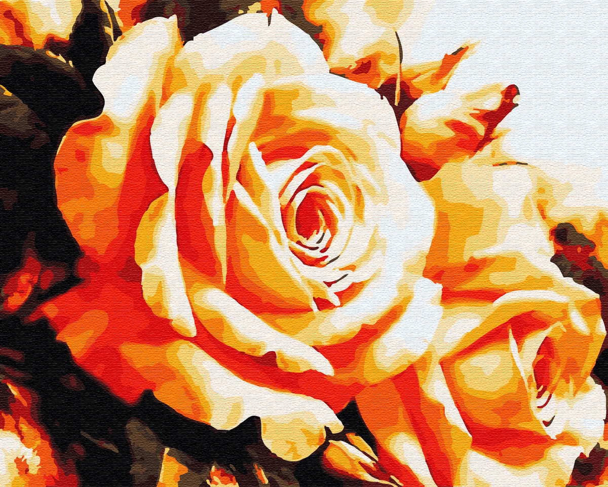 Лц-043. Белые розы по цифрам. Картина по номерам розы на столе схема. Белые розы по цифрам. Белые розы по цифрам.