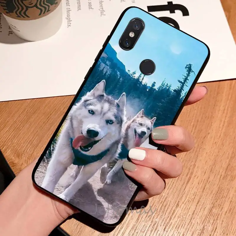 

Funny husky animal dog Phone Case For Xiaomi Redmi note 7 8 9 t max3 s 10 pro lite