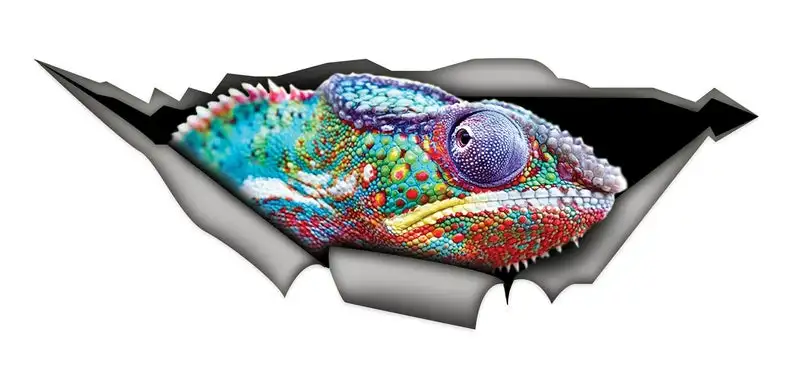 

2021 Chameleon car decal, reptile decal, chameleon sticker