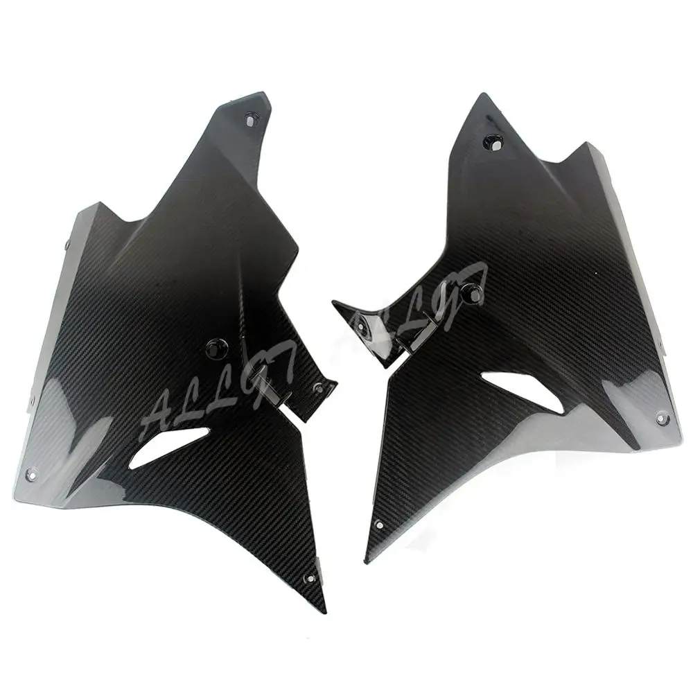 Предварительно Preg кастрюли для нижнего живота из углеродного волокна BMW S1000RR 2017