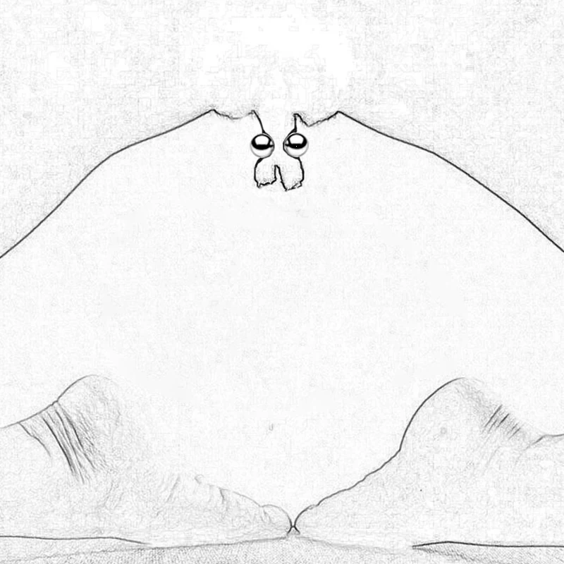 2 пары интимные игрушки для женщин и взрослых секс игры пар ультрамощные