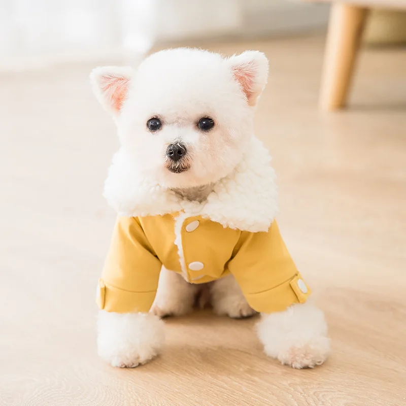 Стильный жилет для собак на осень и зиму одежда в клетку пальто принцессы длиной 2