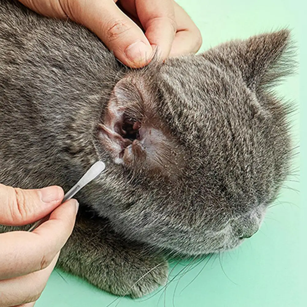 40 шт./коркор. нетканое средство для чистки зубов/глаз | Дом и сад