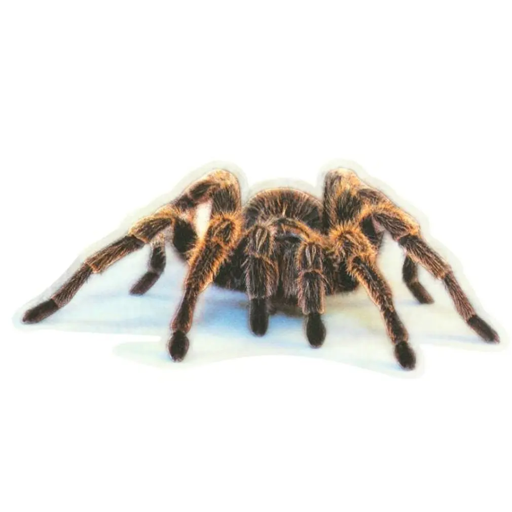 3D наклейка на автомобиль в виде паука ящерицы Скорпиона 3d с рисунком животных