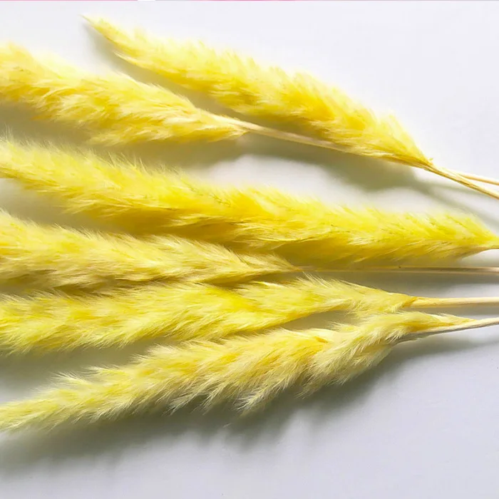 15 шт. сушеные маленькие пампасы трава Phragmites украшения для дома, отеля, свадьбы SLC88