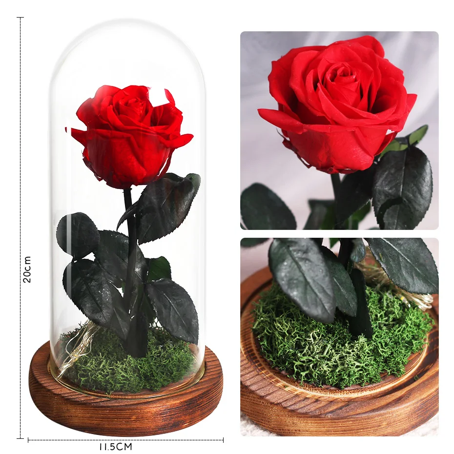 

Dried flowers preserved roses in glass cover with night light ornaments wedding Valentine Day Christmas New Year Home Decor Gift