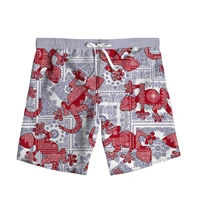 new fashion bandana 3d print paisley woman men summer beach loose shorts casual pants polyester v17