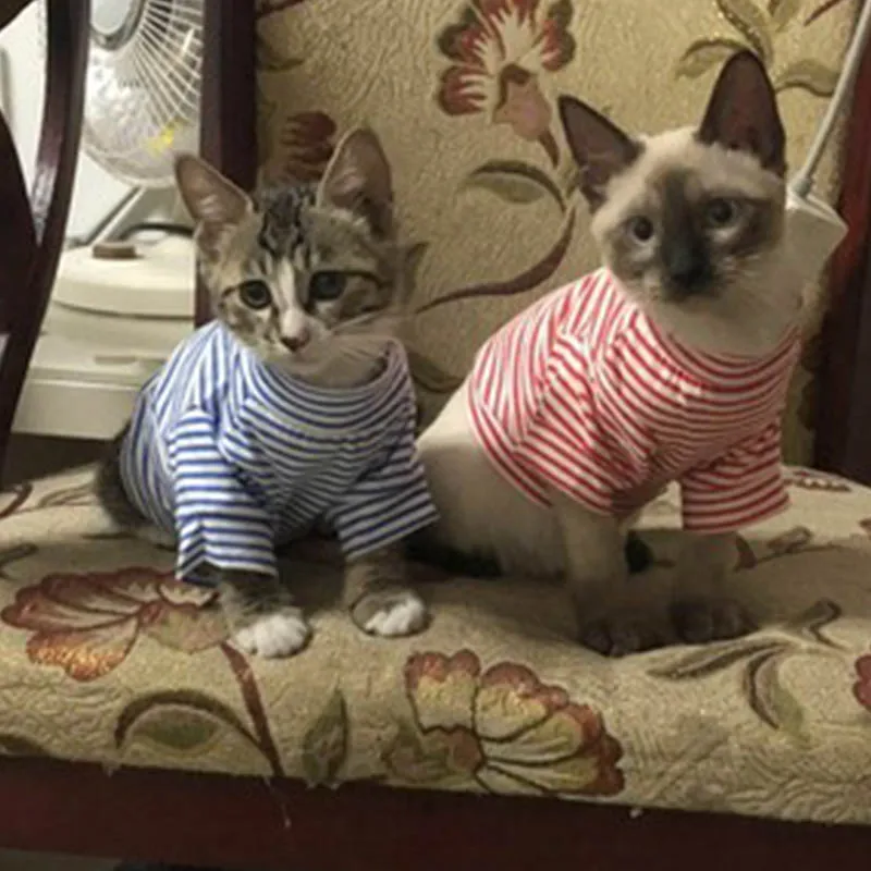 Одежда для кошек собак в полоску маленьких костюм рубашка чихуахуа Йорков одежда