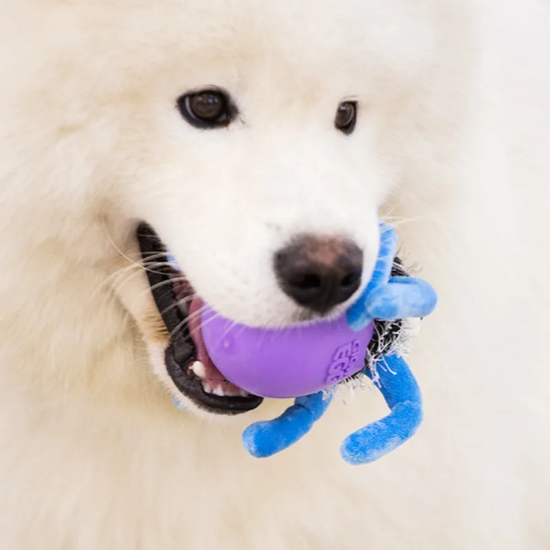 Игрушки для собак паук яйцо крокодил динозавр игрушки моляров неваляшка яичная