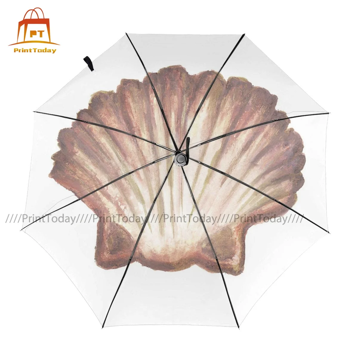 

Seashells Umbrella Automatic Protection Umbrella Beautiful Print Trekking Lightweight Umbrella