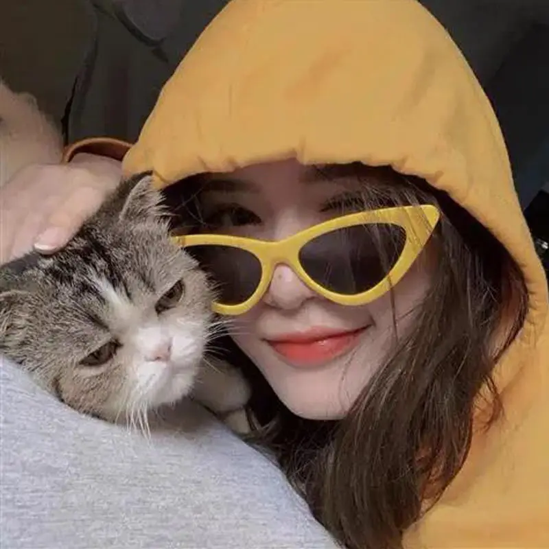 Women Cat Eye Sunglasses Small Size Brand Designer Fashion Retro Ladies Sun Glasses Female Black Purple Red UV400 | Автомобили и