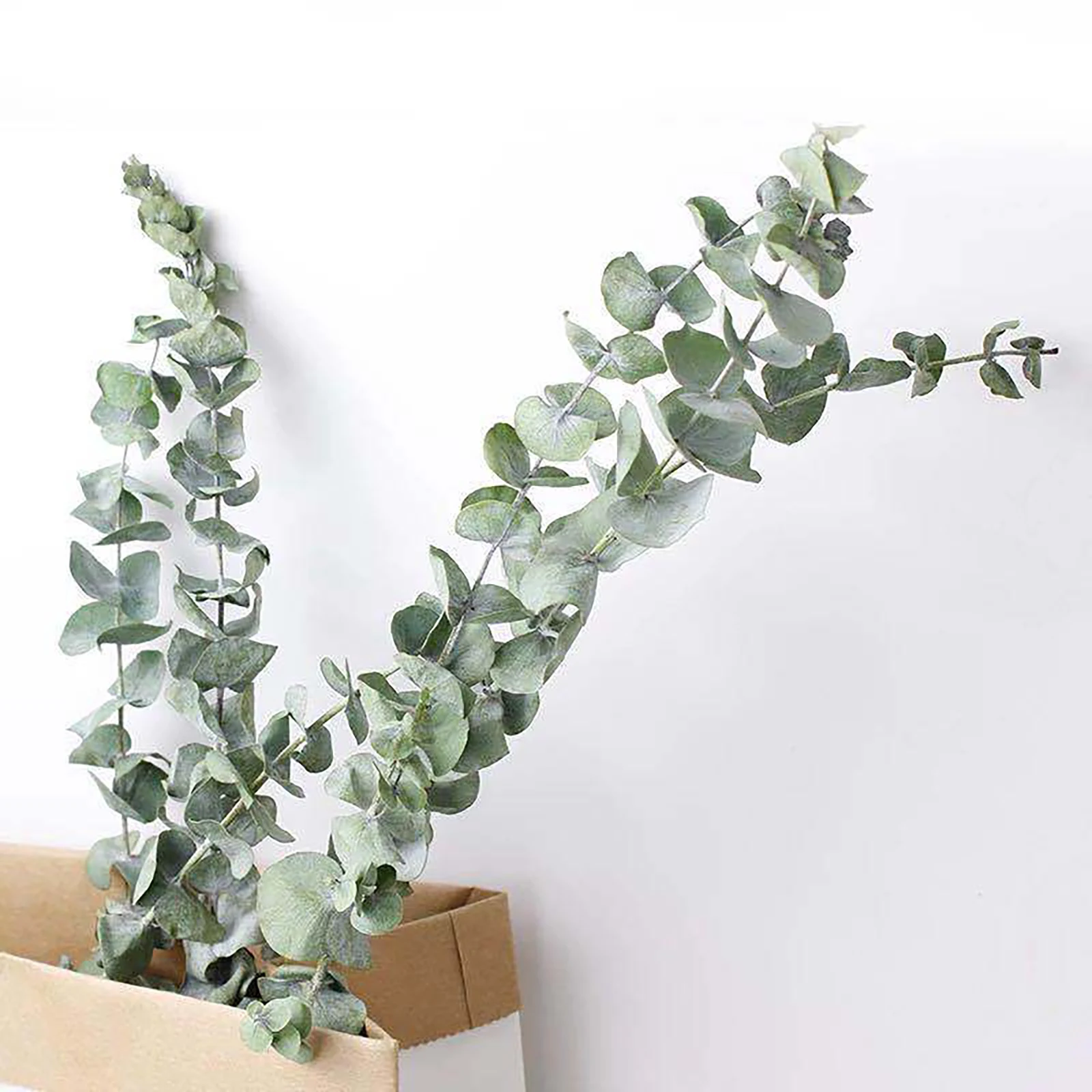 

10 Pcs Natural Eucalyptus Leaves Dried Flowers Eucalyptus Leaves Eucalyptus Branches Stems Real Plants Diy Wedding Home Decor