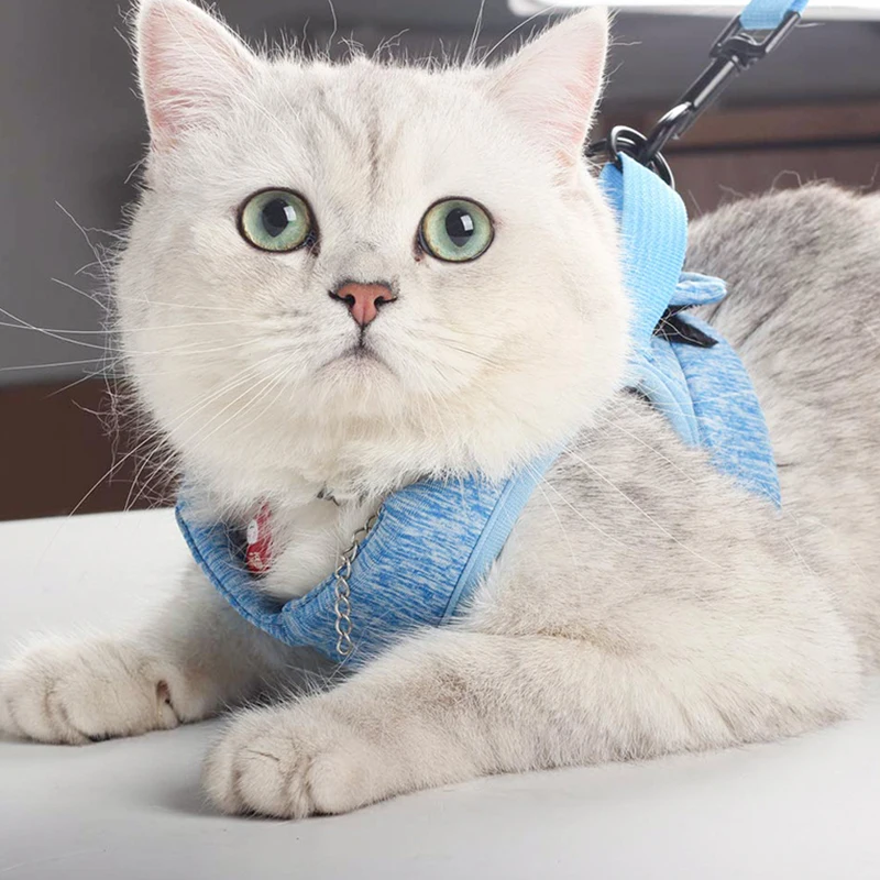 Ошейник для кошек WAZIR удобные легкие мягкие эластичные ремни котят прогулок и