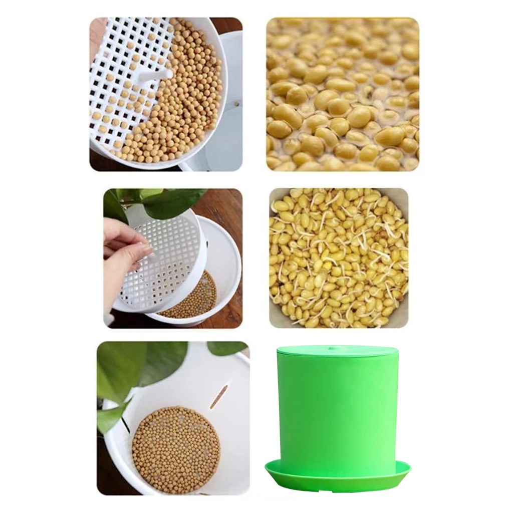 Садовая почва-Бесплатная со стручками фасоли баночка для посева посадки