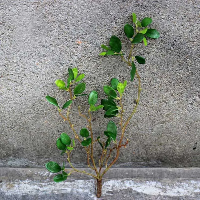 Украшения для сада с рисунком яблоня и листовые искусственные растения зеленой