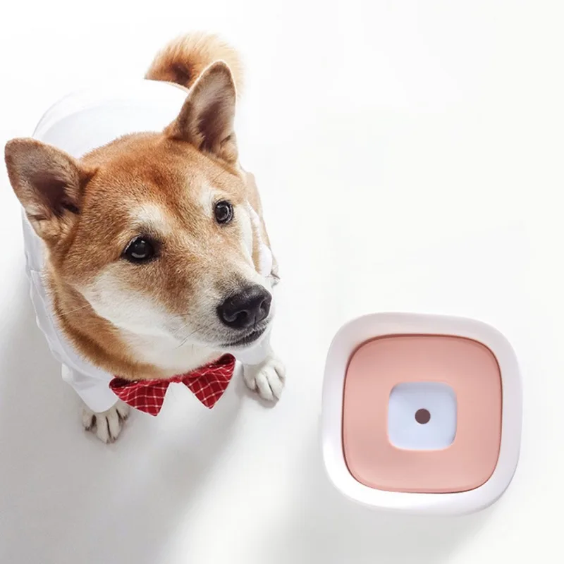 

Dog Water Bowl with Floating Disk Spill Proof Water Bowl Pet Accessories Pink/Green/Blue