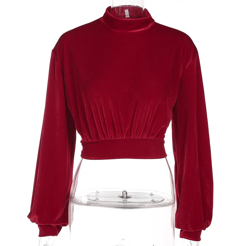 Wine Red Darlingaga, модный велюровый свитер с высоким воротом, женский укороченный топ с капюшоном, шикарный пуловер, весенне-осенние толстовки, джемпер с высокой талией - Цвет: Wine Red