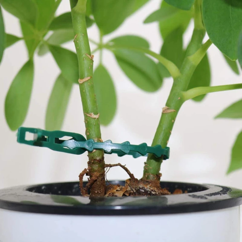 

Adjustable Garden Plant Twist Ties - Flexible Plastic Twist Ties, Muti-Use for Garden Secure Vine, 9 Inch