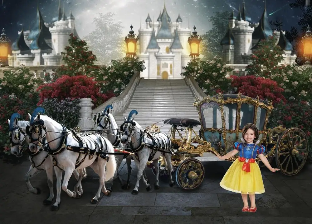 Карета Золушки Голубой Замок фон для вечеринки в стиле baby shower, фоны высокого качества для печати на компьютере на день рождения.