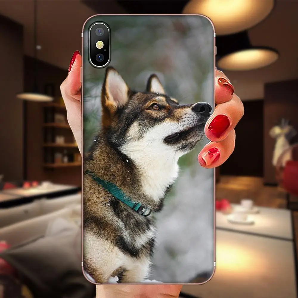 Wolf Dog Soft Tpu Phone Case For Huawei P7 P8 P9 P10 P20 P30 Lite Mini Plus Pro Y9 Prime P Smart Z 2018 2019 | Мобильные телефоны и