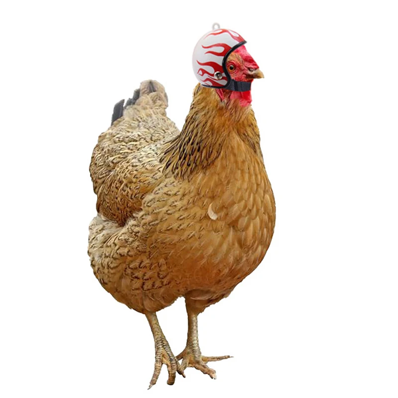 

5Pcs Chicken Helmet Hard Hat Bird Duck Hat Headgear Pet Helmet Small
