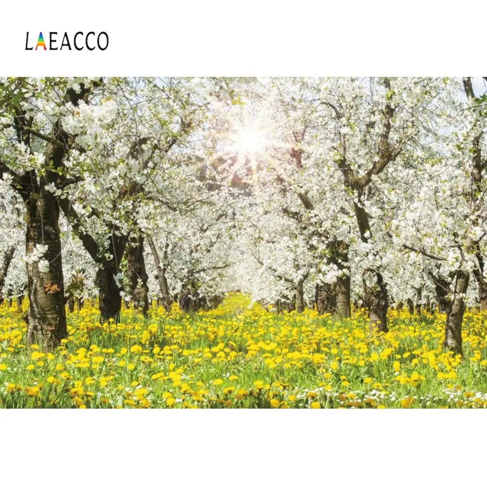 Laeacco поле белые цветы дерево пастбище Портретные фотографии фоны виниловые