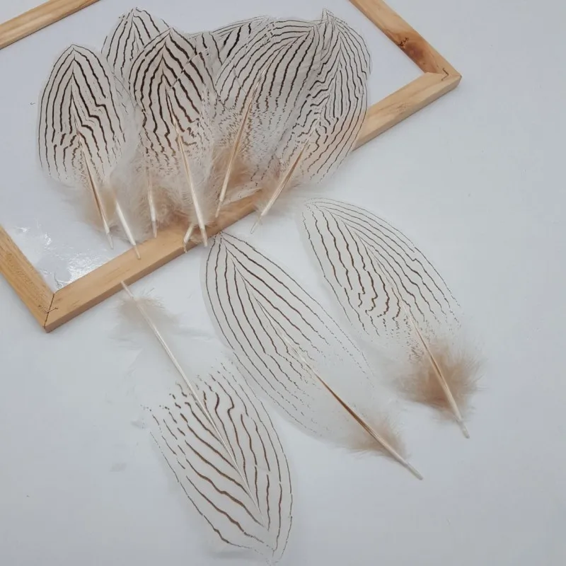 Оптовая продажа 20-25 см серебряные перья фазана для творчества украшение