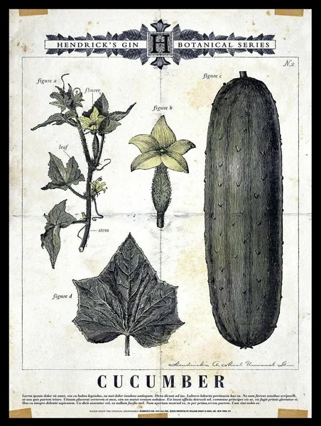 

HENDRICKS GIN CUCUMBER Retro Metal Tin Sign Poster Plaque Garage Wall Decor A4