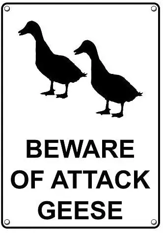 

Metal Sign Great Aluminum Tin Sign Beware of Attack Geese Sign 8 X 12 Inch