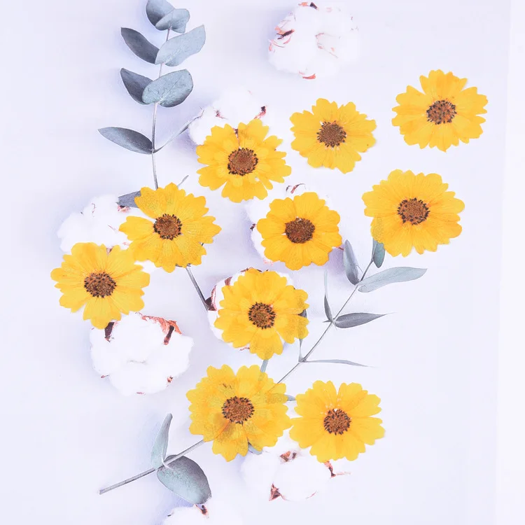 

24pcs/2-3.5cm,Nature Daisy Pressed Chrysanthemum Flower head,Nail Art Decoration Flora Gel Manicure Stickers DIY Bookmark Gift