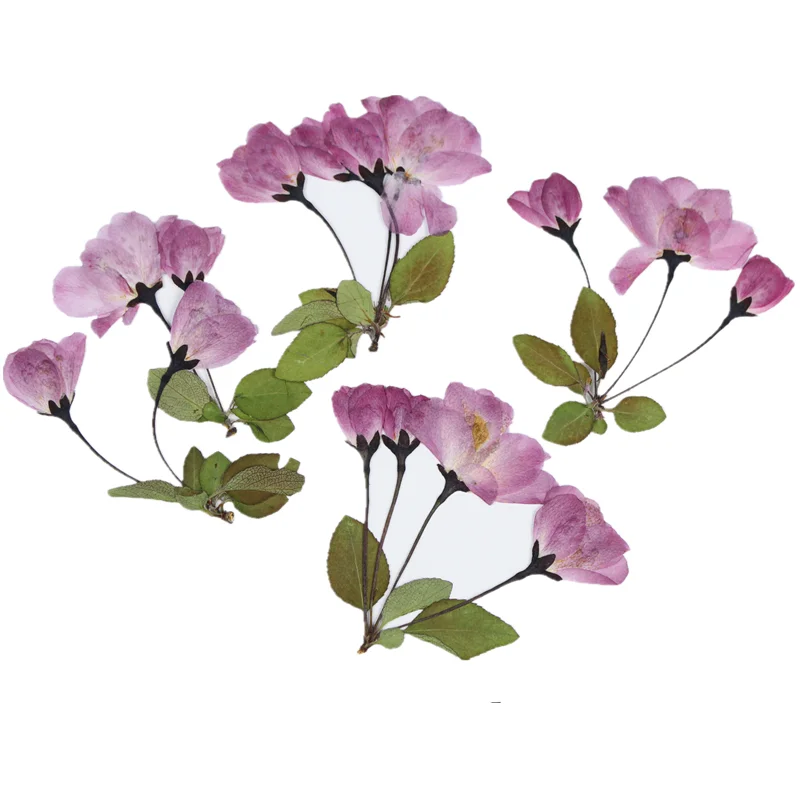 Cherry Blossom Begonia Flower Dry Embossing Plant Soy Wax Candle Accessories Soap Making Kit Scented Candles Beeswax | Дом и сад