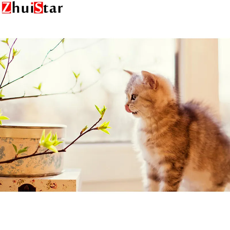 Набор для алмазной живописи сделай сам картина с изображением милого котенка