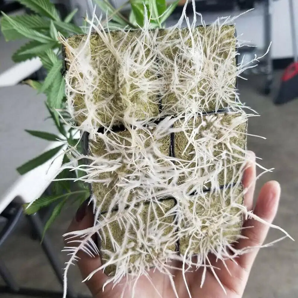 20шт поднос для рассады растительные волокна блоки грунта под рассаду садовый