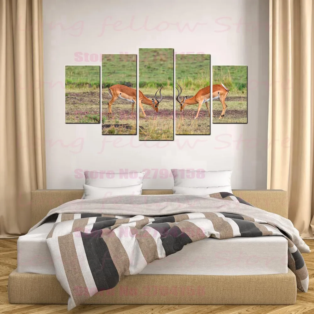 5 шт. холст печать африканская трава животные Антилопа слон Зебра Рино фотографии