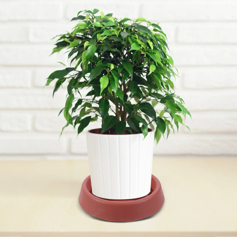 

4Pcs Household Flowerpot Trays Water Pans Gardening Trays Flowerpot Dishes