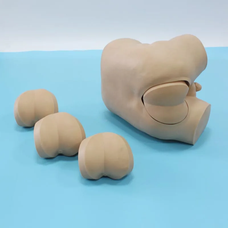 Шиньон передовые прямой проверить симулятор Ректальный сенсорный модель