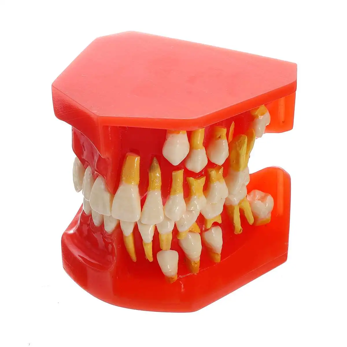 

Стоматологическая обучающая модель для детей, альтернативная модель зубов, удаляемая демонстрация для детей