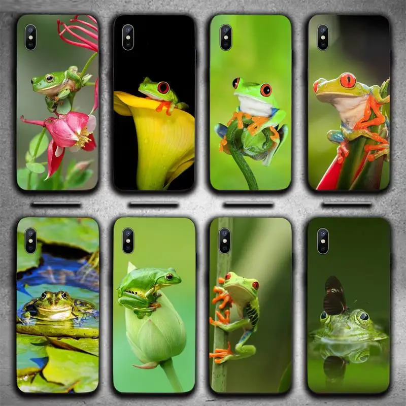 

Green animal Frog Phone Case For iphone 12 11 13 7 8 6 s plus x xs xr pro max mini