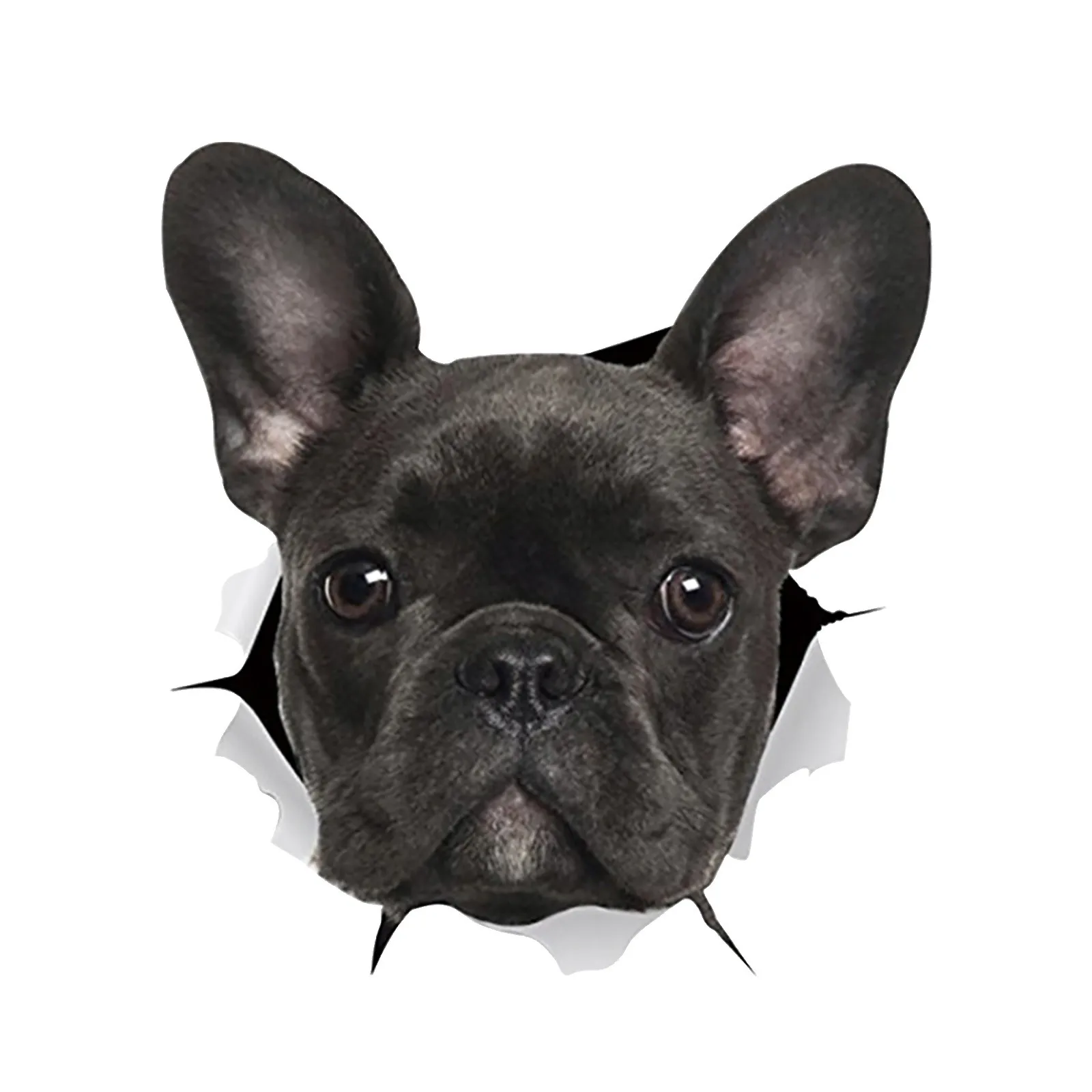 

HorribleDog Crack Plastic Car Window Decal Laptop Funny Decals Christmas Party StickersWaterproof and Sunscreen PVC20cm*19cm