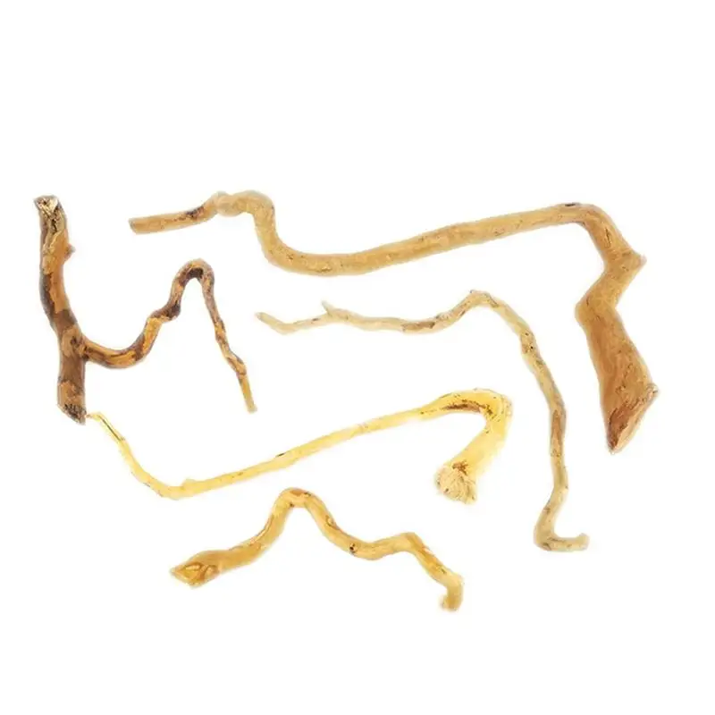 5 шт. подводный корень декор дома орнамент пейзаж водное растение для Декор