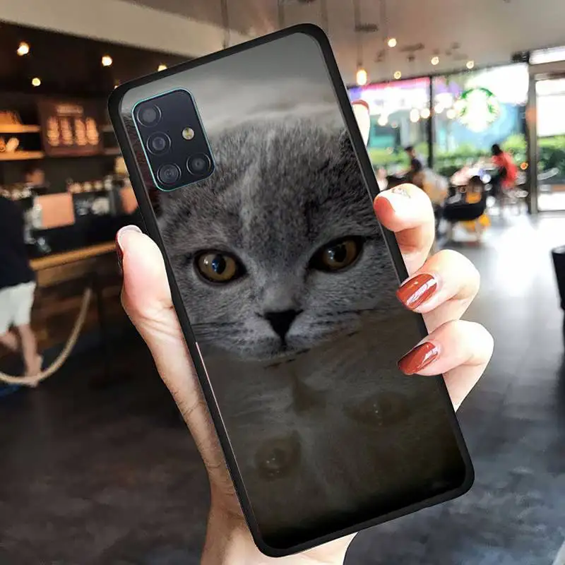 

British shorthair cat Phone Case For Samsung A50 A51 A71 A12 A72 A52 A32 A02 A20E A31 A40 A70 A80 Fundas coque