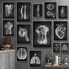 Черно-белый художественный постер на холсте с изображением анатомии человека для студентов-медицинских работников, украшение для дома