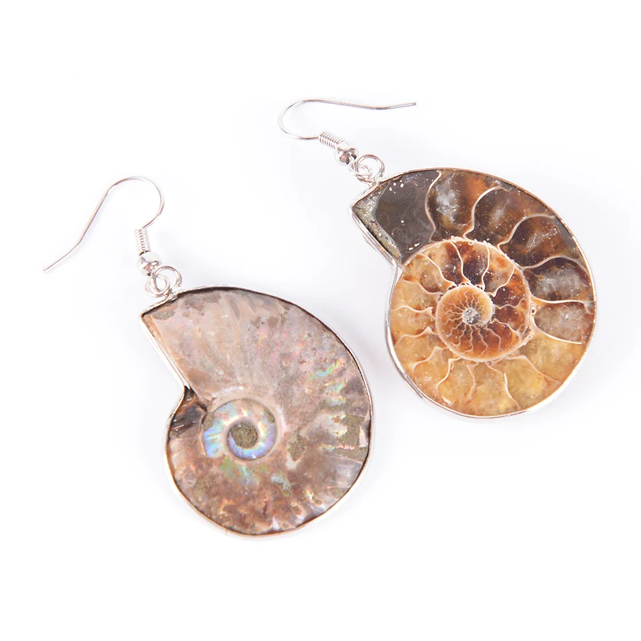 Женская Подарочная спиральная серьга подвеска в виде натуральной улитки амонита