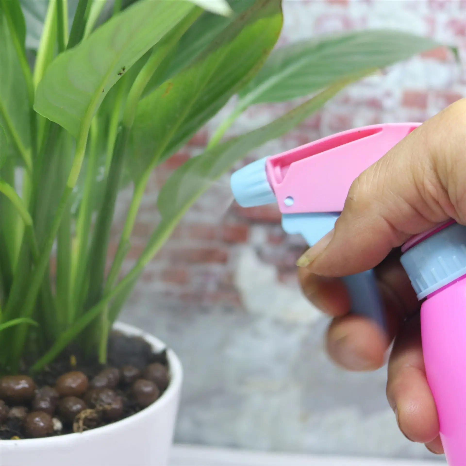 Яркий цвет ручной спрей для полива в саду|Опрыскиватели| |