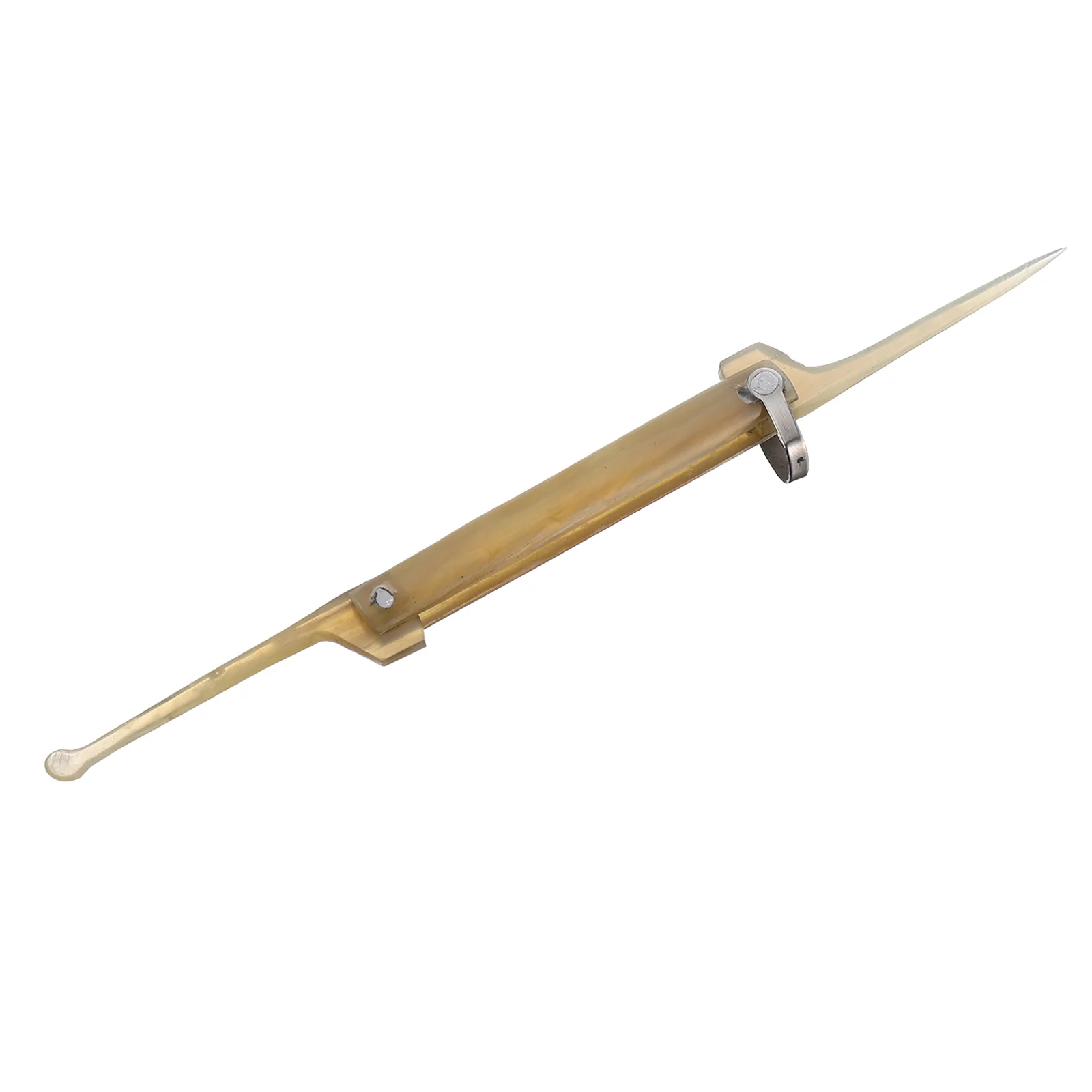 

1Pc 2-in-1 Toothpick Ear Spoon Cattle Horn Toothpick Earpick Keychain Pendant