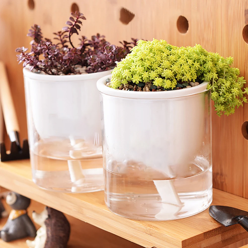 

2Pcs Lazy Flower Pots Automatic Water-Absorbing Transparent Round Hydroponic Succulent Plant Pots Garden Plant Supplies