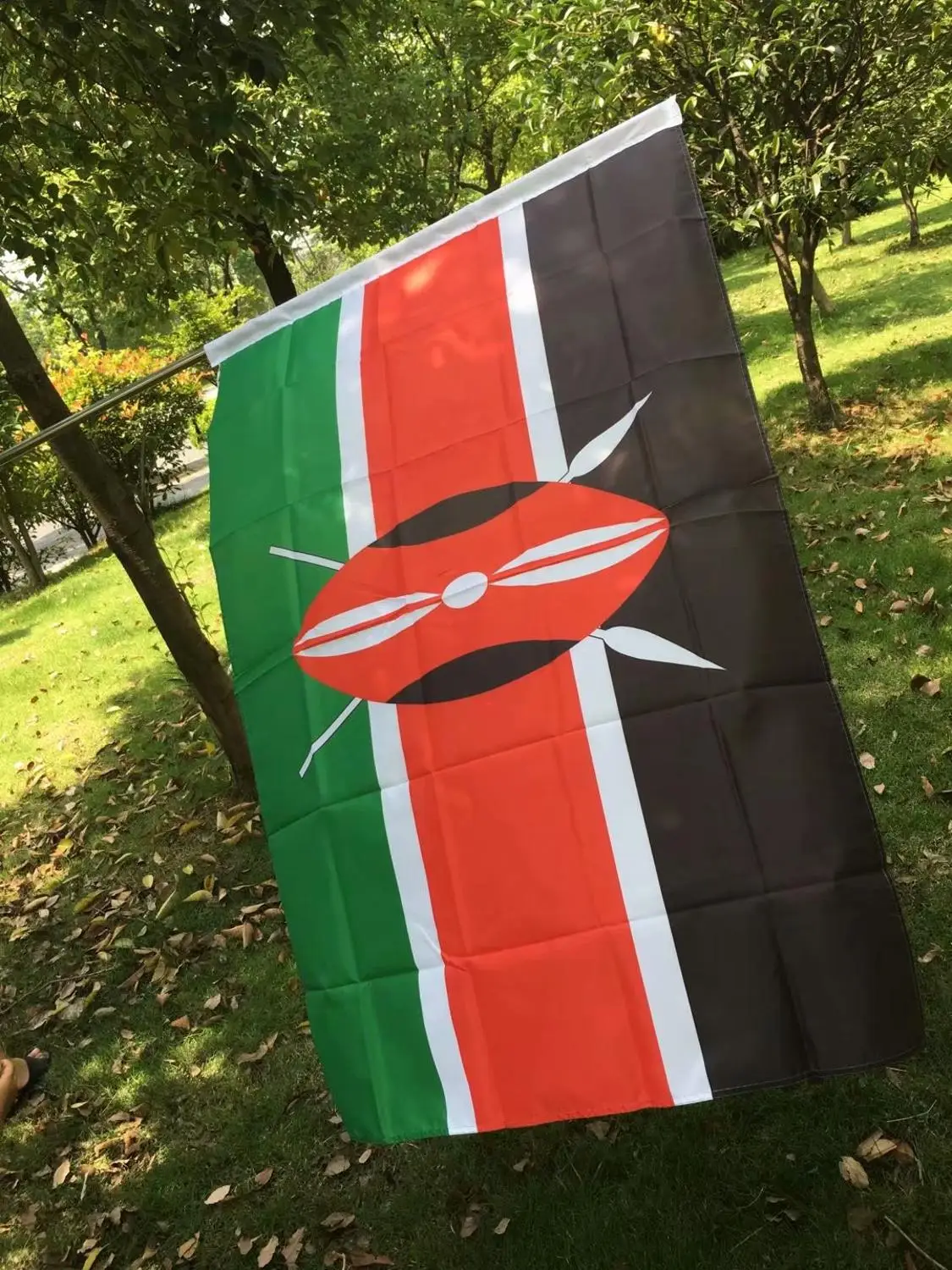 Бесплатная доставка Кения государственные флаги 90*150 см полиэстер подвесной флаг