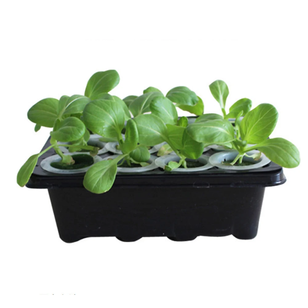 

12 Cells Plant Growing Trays Plastic Germination Tray Nursery Pots Planter with Lids and Breather Hole