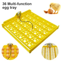 new 36 plastic eggs incubator turn tray poultry incubation equipment chickens incubator automatically turn eggs dropshipping hot