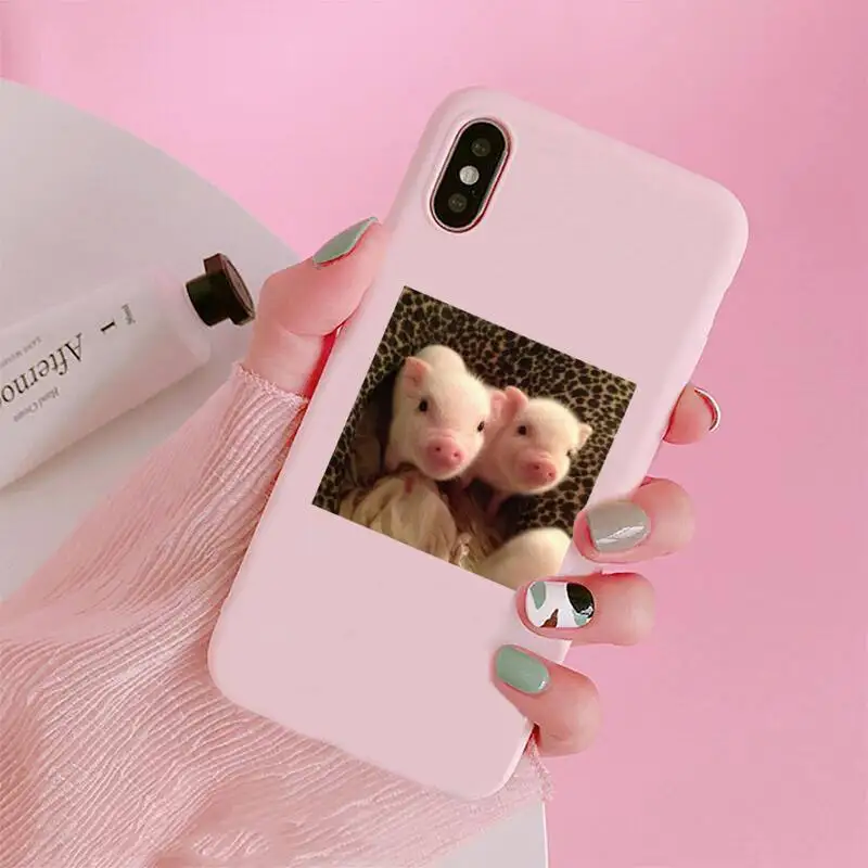 

Cute Little Pink Pet Pig animal Phone Case Candy Color for iPhone 6 7 8 11 12 s mini pro X XS XR MAX Plus